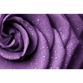 Постер 94*55 D_5299057