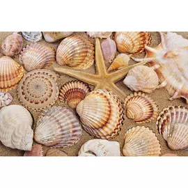 Постер 94*55 D_5659520