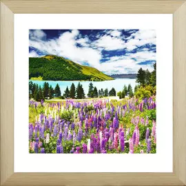 Постер МС-41/40*40 Лавандовое поле