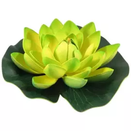 растение декоративное кувшинка ff-043