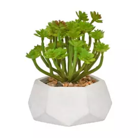 растение искусственное эониум в кашпо 120*120*150 вещицы зеленый rio2