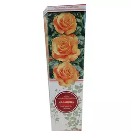 Роза чайно-гибридная Казанова желтая