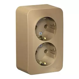 розетка штепсельная (открытая, 2 поста, титан, с/з) se blanca, blnra010214