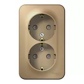 розетка штепсельная (открытая, 2 поста, титан, с/з) se blanca, blnra011214