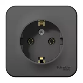 розетка штепсельная (открытая, 1 пост, антрацит, с/з) se blanca, blnra011116