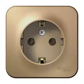 розетка с/з se blanca наруж титан без шторок 16а, 250в, изолир пластина se blnra010114