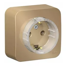 розетка с/з se blanca наруж титан без шторок 16а, 250в изолир пластина se blnra110114