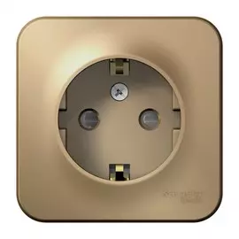 розетка с/з se blanca наруж титан со шторками 16а, 250в, изолир пластина se blnra011114