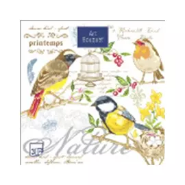 Салфетки 33х33см "Птицы" Art Bouquet 3-слойные 37427