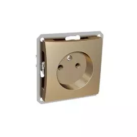 SE Дуэт Шампань Розетка б/з