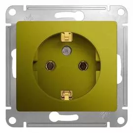 SE Glossa Фисташковая Розетка с/з