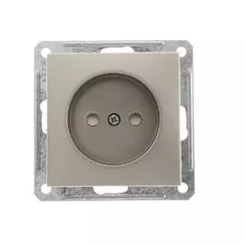 SE Wessen 59 Шампань Розетка б/з