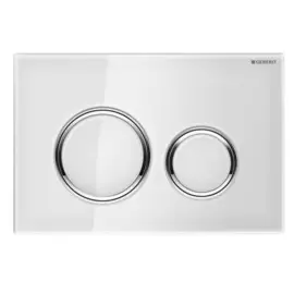 смывная клавиша geberit 115.884.si.1