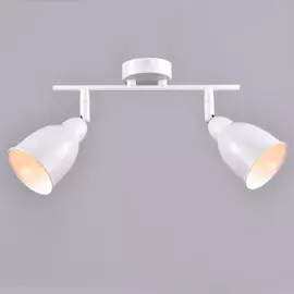 Спот РОССвет Графика РС20788 WT/2C