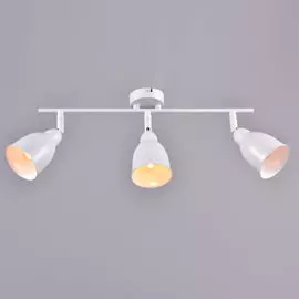 Спот РОССвет Графика РС20788 WT/3C