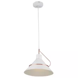 светильник подвесной amis fr5025pl-01w