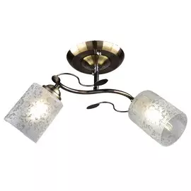 светильник потолочный россвет рс21208 ab/2c е27х2х60вт