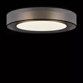 светильник потолочный zoticus fr6005cl-l48g