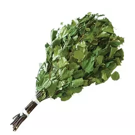 веник березовый банные штучки