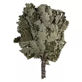 веник дубовый банные штучки