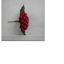 Ветка декоративная с ягодами, 12см, Красный, JS737153