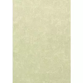 Виниловые обои Erismann Rondo 4066-14 1,06x10,05