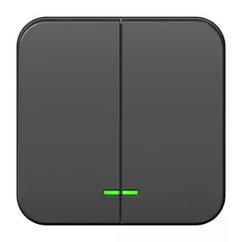 выключатель (открытый, антрацит, 2 клавиши, с рамкой, с подсветкой) se blanca, blnva105116