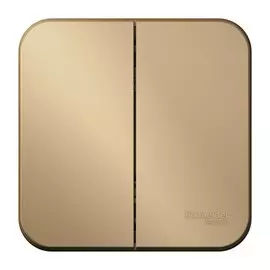 выключатель (открытый, титан, 2 клавиши, с рамкой) se blanca, blnva105014