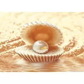 вставка d1 жемчужина 35х25 025937