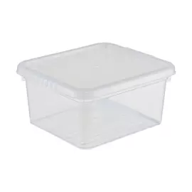 ящик для хранения 2л basic funbox с крышкой fb1011