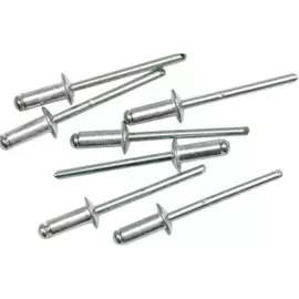 заклепка 4,8х10 (14 шт)