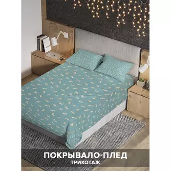 Ambesonne Покрывало на 1.5-спальную кровать Котята 220х160 и две наволочки 70x50