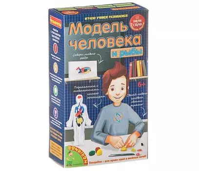 Bondibon Японские опыты Науки с Буки Модель человека