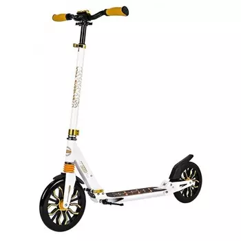 Двухколесный самокат Sportsbaby City Scooter MS-250