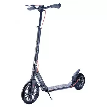 Двухколесный самокат Sportsbaby City Scooter MS-250D