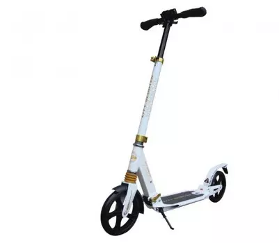 Двухколесный самокат Sportsbaby MS-106 City Scooter