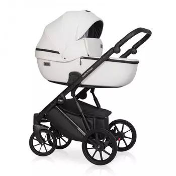 Коляска Riko Basic Montana Ecco 2 в 1