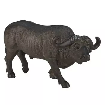 Konik Африканский буйвол