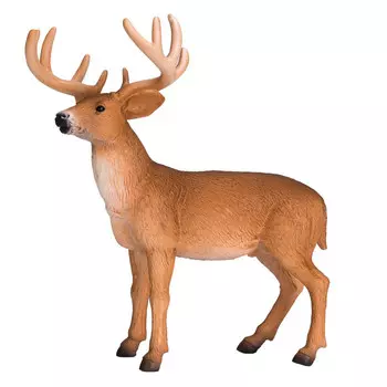 Konik Белохвостый олень самец