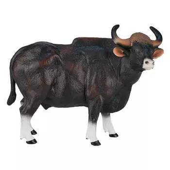 Konik Гаур