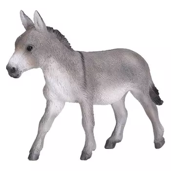 Konik Осёл