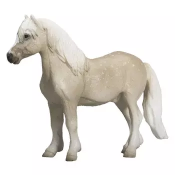 Konik Уэльский пони