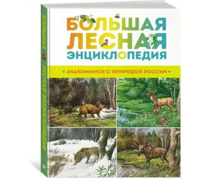 Махаон Большая лесная энциклопедия Знакомимся с природой России