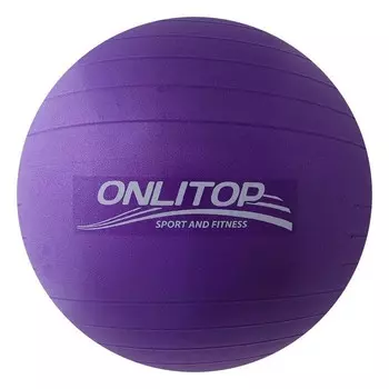 Onlitop Фитбол 65 см 3543996