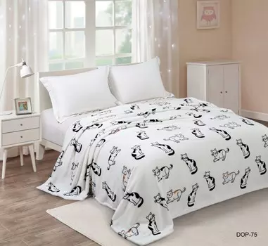 Плед Dream Time Велсофт 1.5 спальный 200х150 BL0394-1
