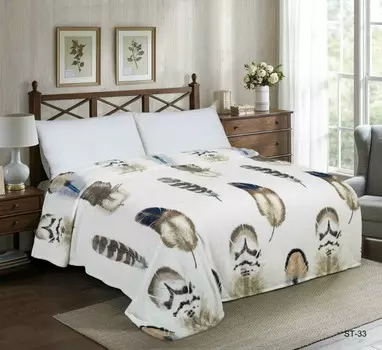 Плед Dream Time Велсофт 1.5 спальный 200х150 BL0395-1