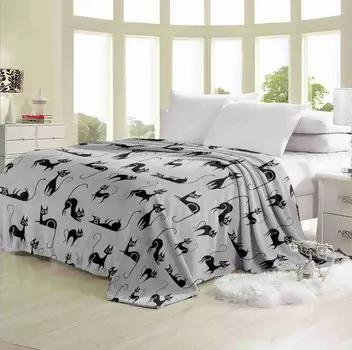 Плед Dream Time Велсофт 1.5 спальный 200х150 BL0490-1