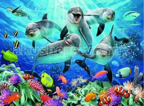 Ravensburger Пазл Дельфины 500 элементов