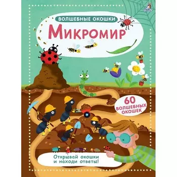 Робинс Волшебные окошки Микромир