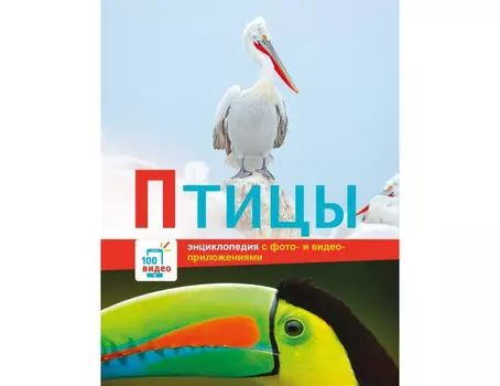 Стрекоза Энциклопедии c фото и видео приложениями Птицы